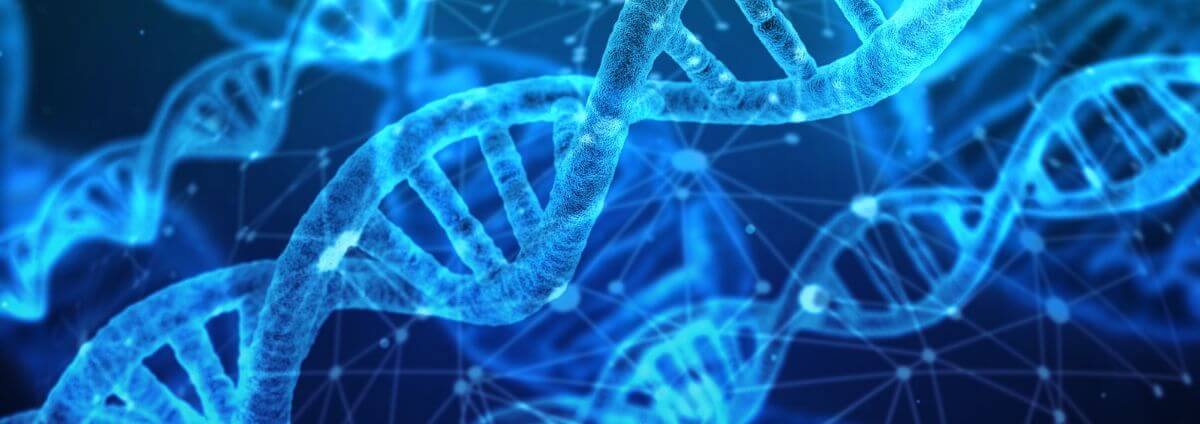 Grafische Darstellung der DNA