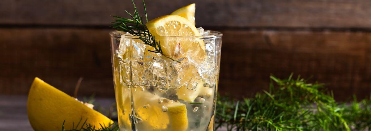 Gin mit Zitrone und Rosmarin.